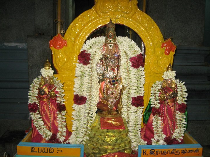 010_Arumbakkam Sathya Varadharaja Perumal Koil Brahmotsavam Ankurarpanam