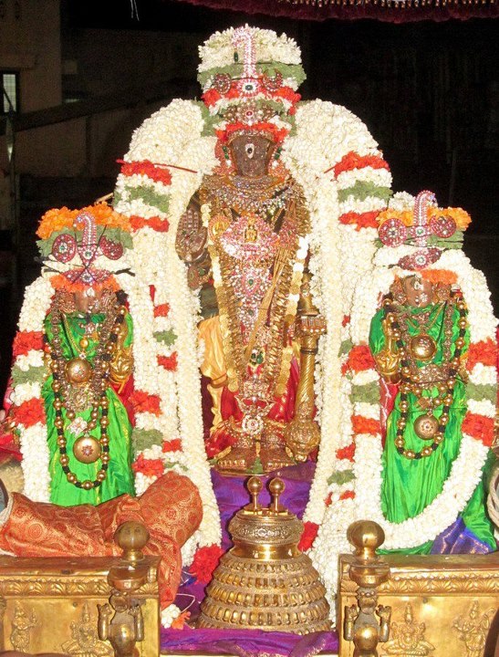 014_Sri Parthasarathy Brahmotsavam Vijaya Varusha ThiruTher