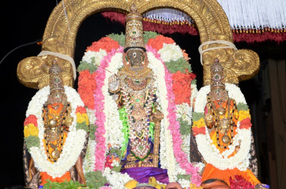 Sri Parthasarathy Udaiyavar Satrumurai6