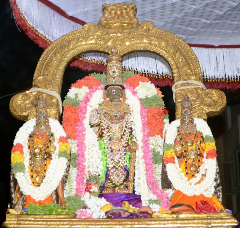 Sri Parthasarathy Udaiyavar Satrumurai7
