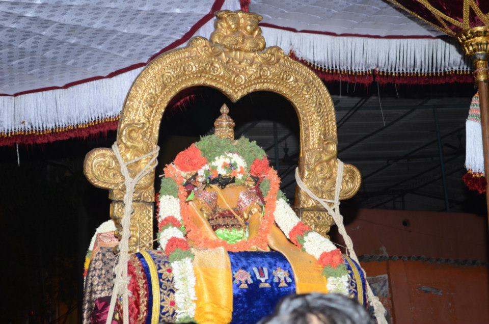Sri Parthasarathy Udaiyavar Satrumurai8