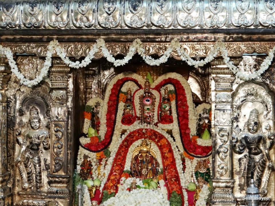 Alwarpet Srimad Andavan Vijaya Varusha Thirunakshatram Day 4