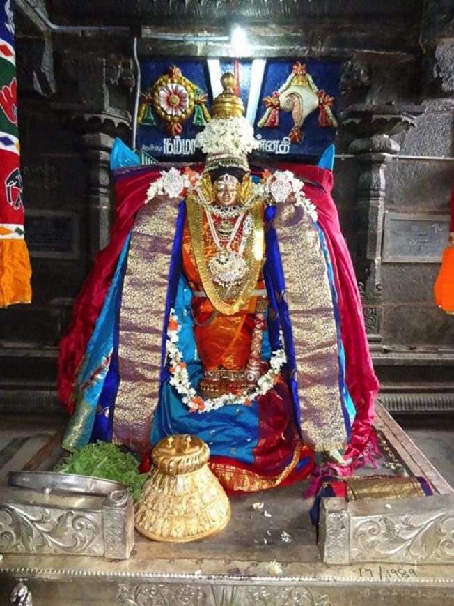 Thiruvahindrapuram_Sri_Devanathan_Nathamunigal_Thirunakshatram_2013_03
