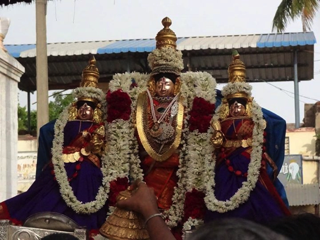 Thiruvahindrapuram_Sri_Devanathan_Nathamunigal_Thirunakshatram_2013_09