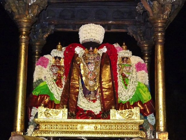 Thiruvahindrapuram_Sri_Devanathan__nellikuppam_thoppu_utsavam_32