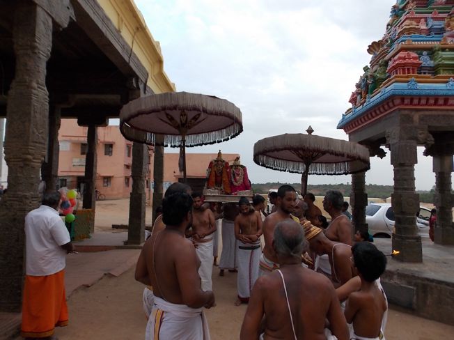Thiruvahindrapuram_Swami Desikan_Vasanthotsavam_2013_004