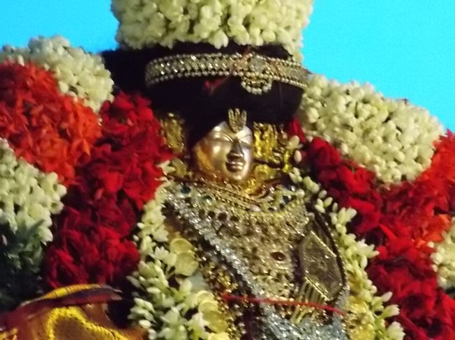 Thiruvahindrapuram_Swami Desikan_Vasanthotsavam_2013_066