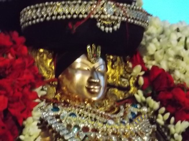 Thiruvahindrapuram_Swami Desikan_Vasanthotsavam_2013_067