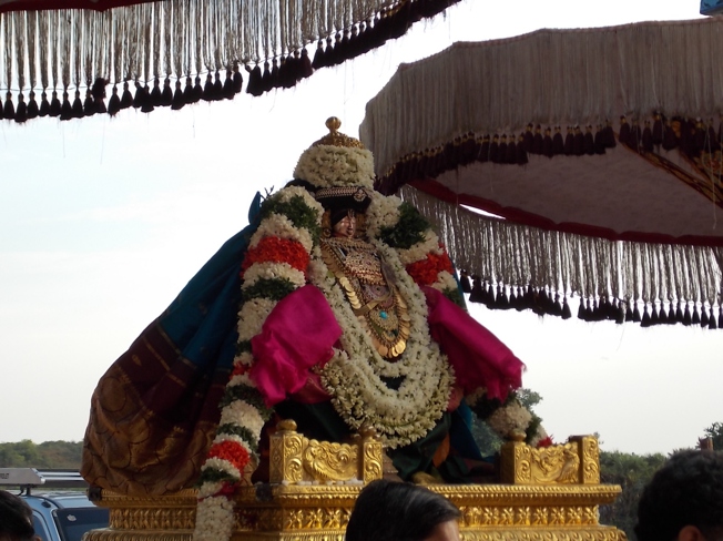 Thiruvahindrapuram_Swami Desikan_Vasanthotsavam_Day4_2013_06