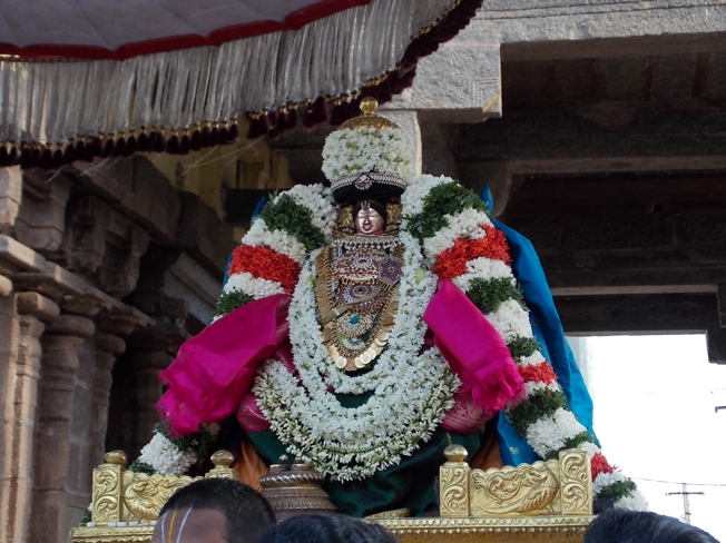 Thiruvahindrapuram_Swami Desikan_Vasanthotsavam_Day4_2013_12