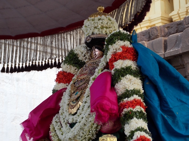 Thiruvahindrapuram_Swami Desikan_Vasanthotsavam_Day4_2013_14