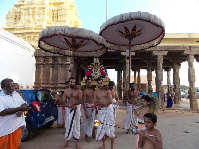 Thiruvahindrapuram_Swami Desikan_Vasanthotsavam_Day4_2013_15