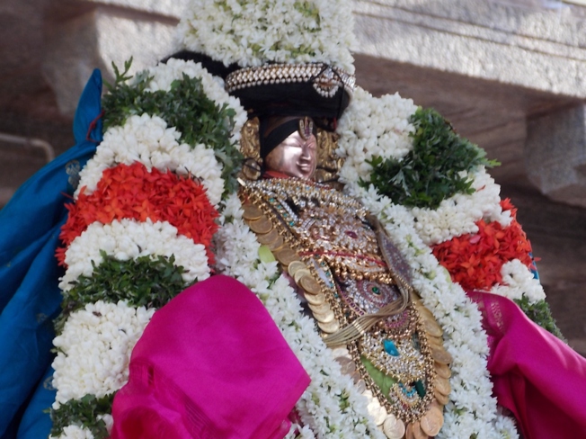 Thiruvahindrapuram_Swami Desikan_Vasanthotsavam_Day4_2013_18