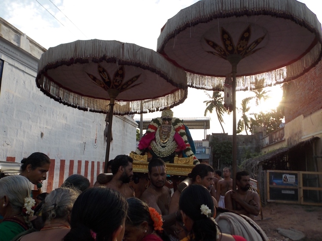 Thiruvahindrapuram_Swami Desikan_Vasanthotsavam_Day4_2013_26