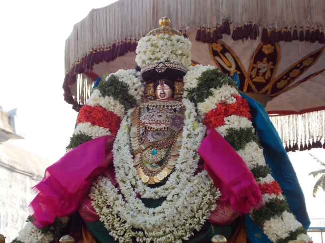 Thiruvahindrapuram_Swami Desikan_Vasanthotsavam_Day4_2013_32