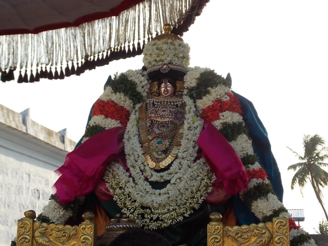 Thiruvahindrapuram_Swami Desikan_Vasanthotsavam_Day4_2013_33