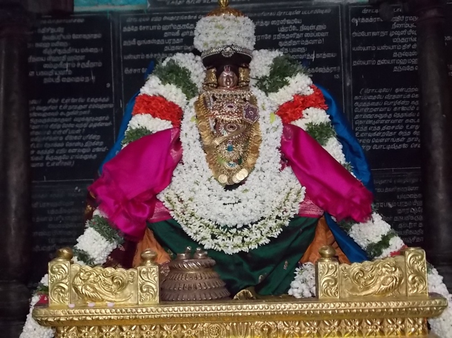 Thiruvahindrapuram_Swami Desikan_Vasanthotsavam_Day4_2013_57