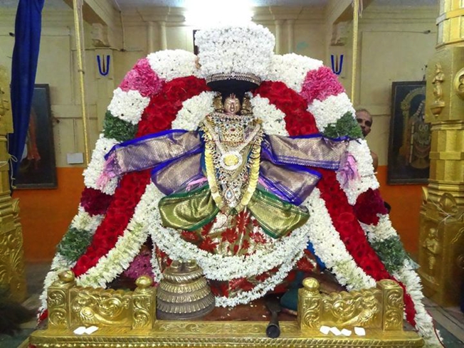 Thiruvahindrapuram_Swami Desikan_Vasantotsavam_2013_Day9and10_01