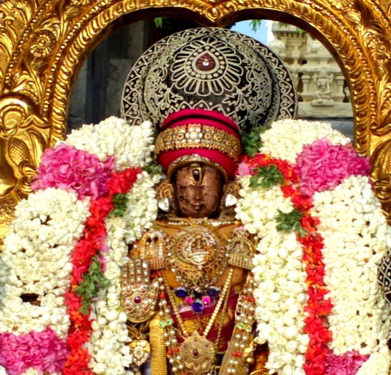 Vijaya Varusha Kanchi Devaperumal Vasanthotsavam1
