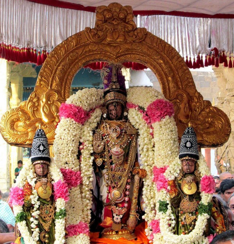 Vijaya Varusha Kanchi Devaperumal Vasanthotsavam13