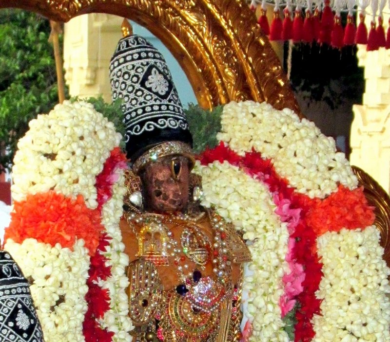 Vijaya Varusha Kanchi Devaperumal Vasanthotsavam14
