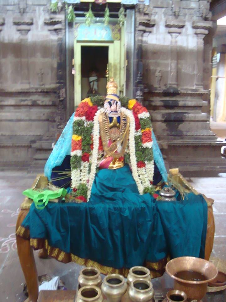 Vijaya Varusha Sri Periazhwar Brahmotsavam Srivilliputtur1
