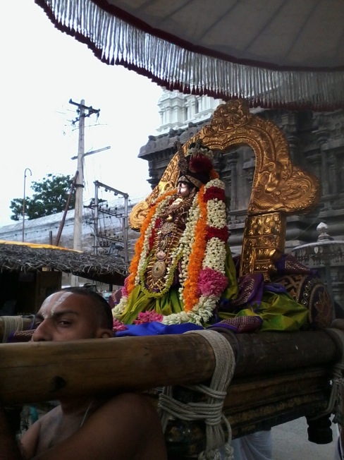 Kanchi_Thiruvaadi Pooram_day1_2013_03
