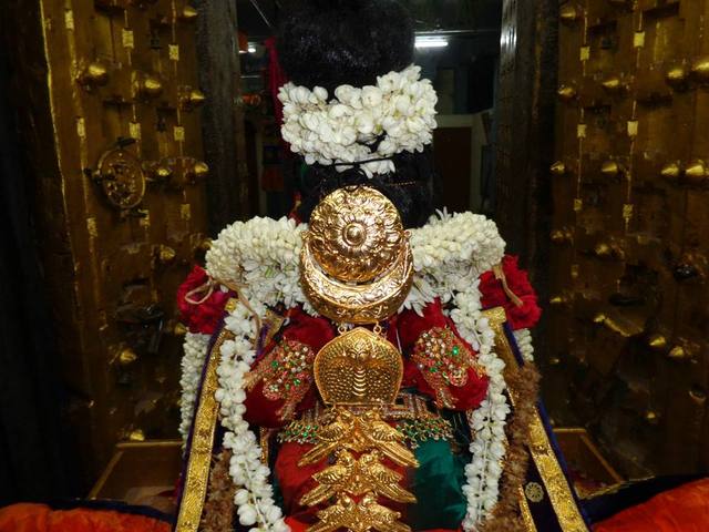 Taramani kovil Thayar Purappadu Aadi vellikilamai  12