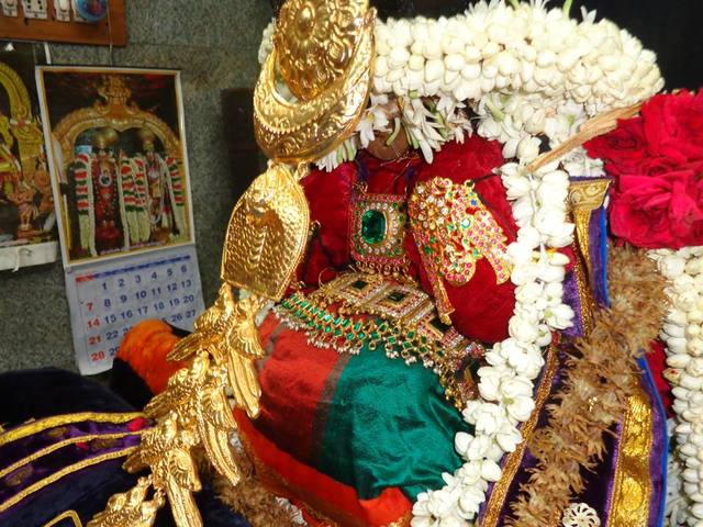 Taramani kovil Thayar Purappadu Aadi vellikilamai  16