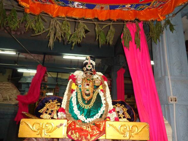 Taramani kovil Thayar Purappadu Aadi vellikilamai  4
