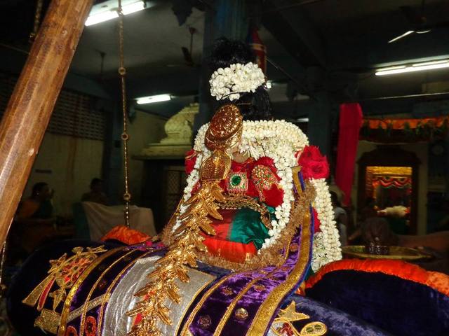 Taramani kovil Thayar Purappadu Aadi vellikilamai  9