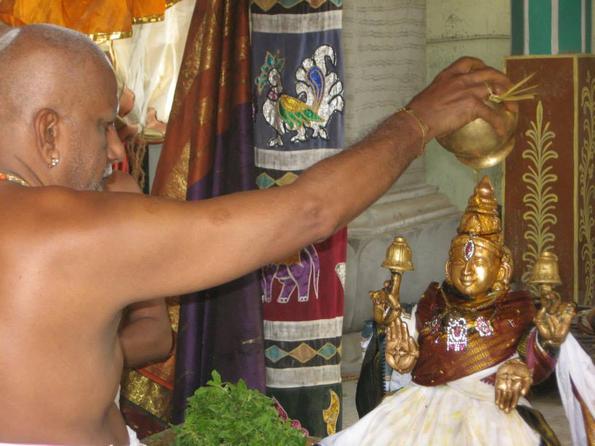 Thayar Thirumanjanam ABM temple  06