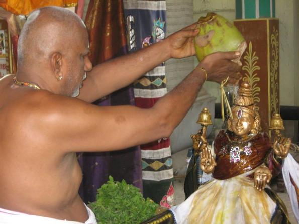 Thayar Thirumanjanam ABM temple  07