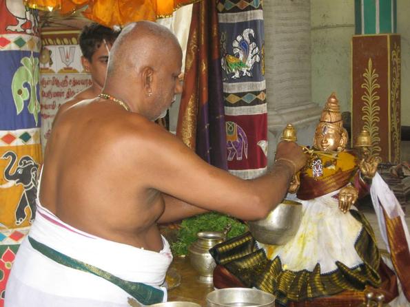 Thayar Thirumanjanam ABM temple  09