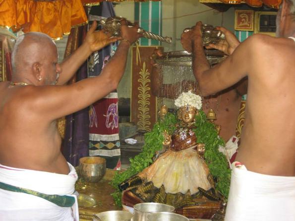 Thayar Thirumanjanam ABM temple  17