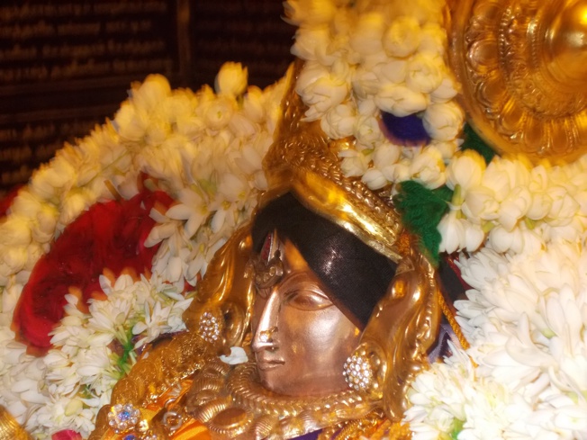 Thirukoodal_Thiruvaadipooram_day1_2013_22