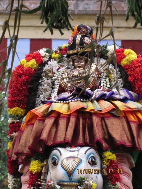 Srirangam_Swami Desikan_Thiruvaadipooram_2013_0007