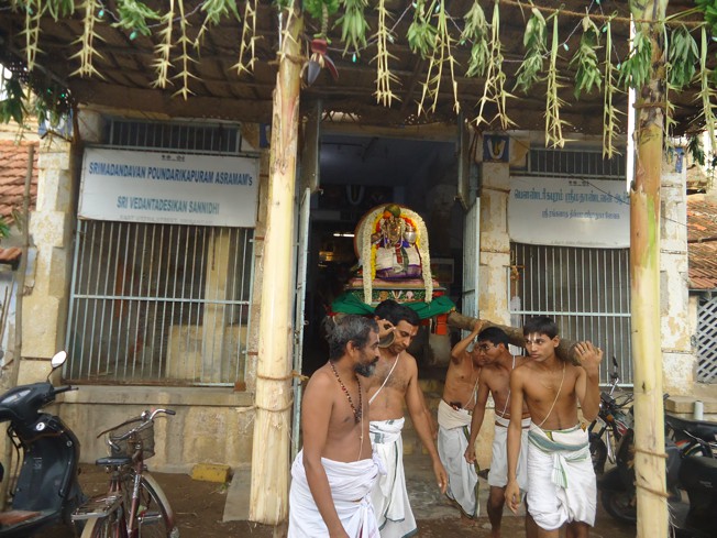 Srirangam_Swami Desikan_Thiruvaadipooram_2013_01