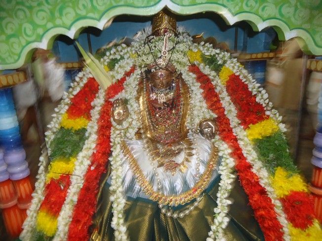 Srirangam_Swami Desikan_Thiruvaadipooram_2013_05