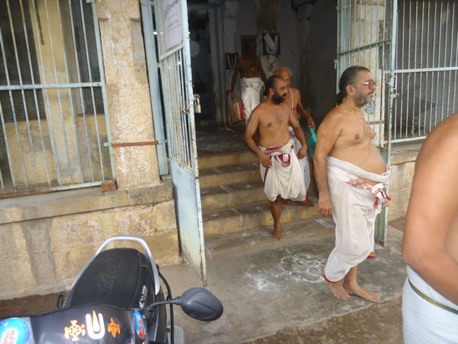 Srirangam_Swami Desikan_Thiruvaadipooram_2013_06