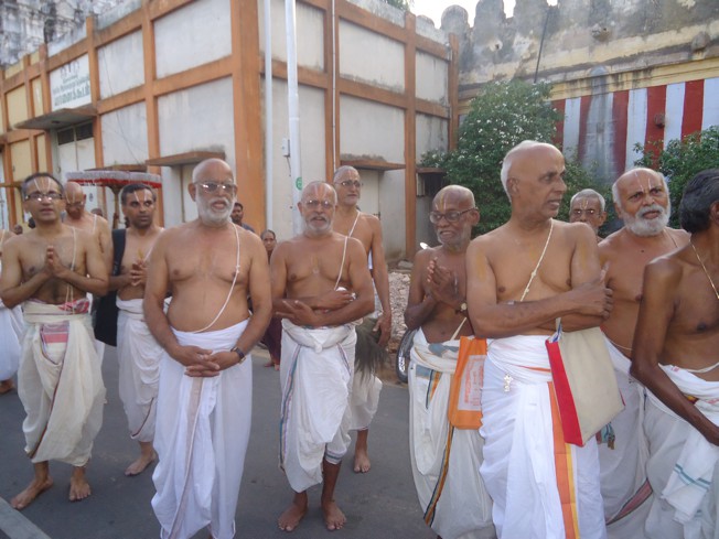 Srirangam_Swami Desikan_Thiruvaadipooram_2013_08