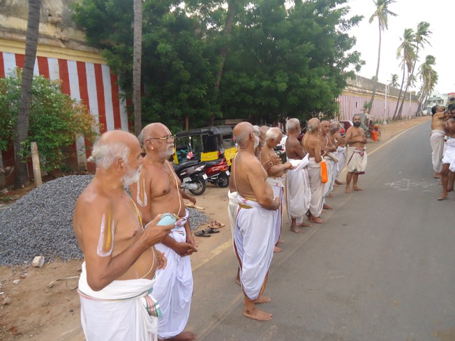 Srirangam_Swami Desikan_Thiruvaadipooram_2013_10