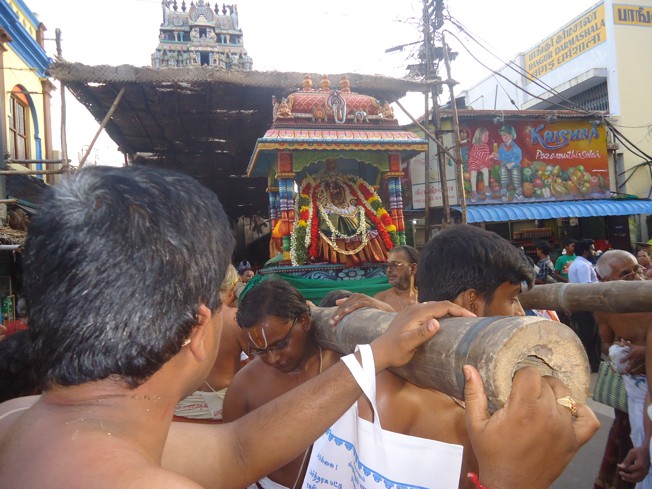 Srirangam_Swami Desikan_Thiruvaadipooram_2013_13