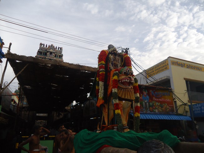 Srirangam_Swami Desikan_Thiruvaadipooram_2013_16