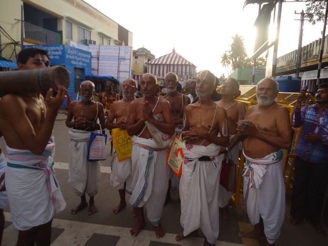 Srirangam_Swami Desikan_Thiruvaadipooram_2013_17