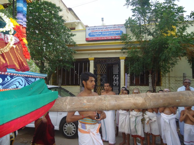 Srirangam_Swami Desikan_Thiruvaadipooram_2013_18