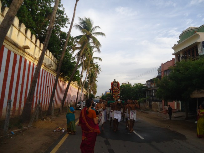 Srirangam_Swami Desikan_Thiruvaadipooram_2013_24