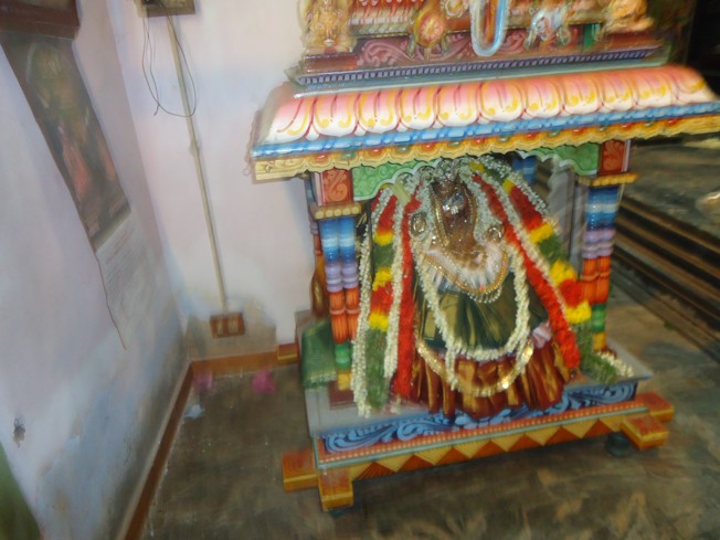 Srirangam_Swami Desikan_Thiruvaadipooram_2013_25
