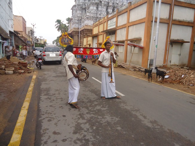 Srirangam_Swami Desikan_Thiruvaadipooram_2013_35