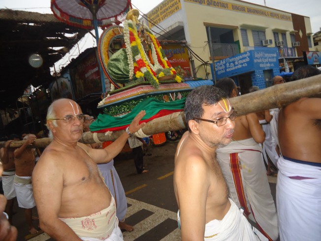 Srirangam_Swami Desikan_Thiruvaadipooram_2013_41